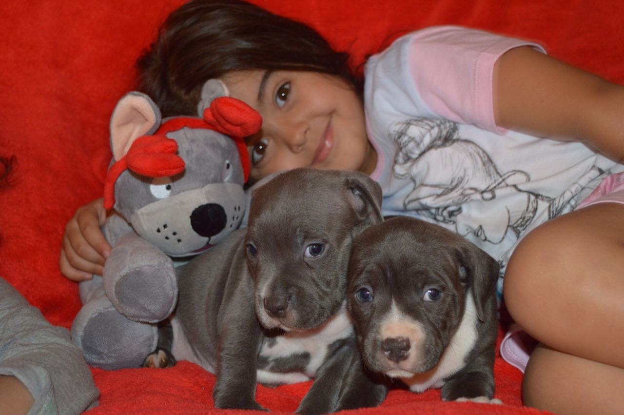 First Blue Litter